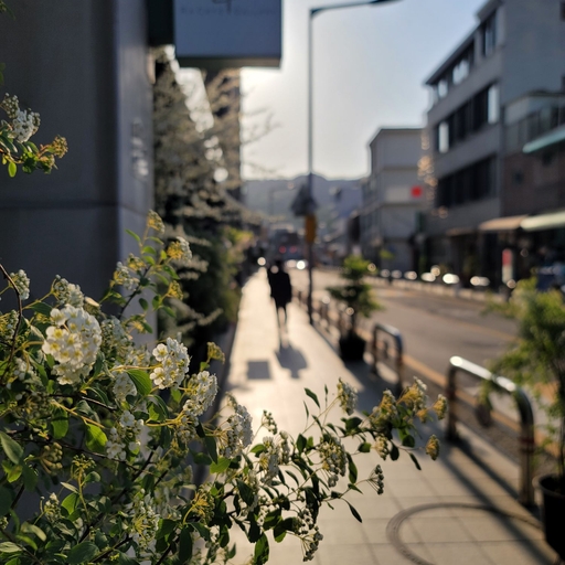 피드 이미지