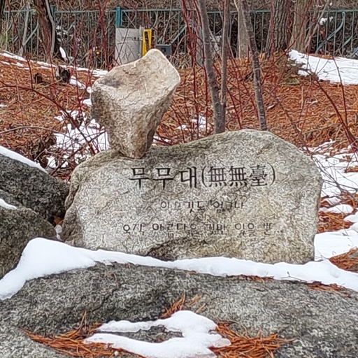 피드 이미지