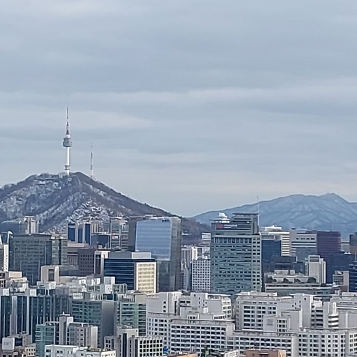 피드 이미지