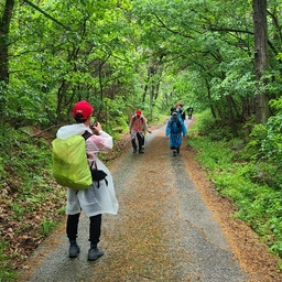 피드에 업로드 된 이미지