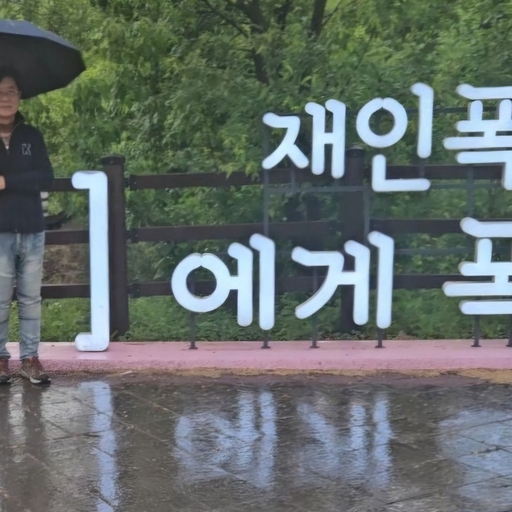 피드 이미지