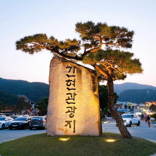 피드 이미지