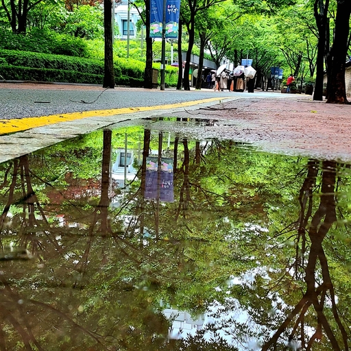 피드 이미지