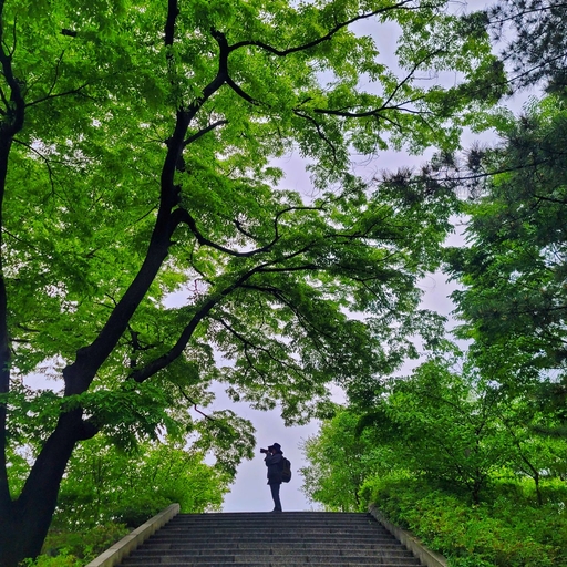 피드 이미지