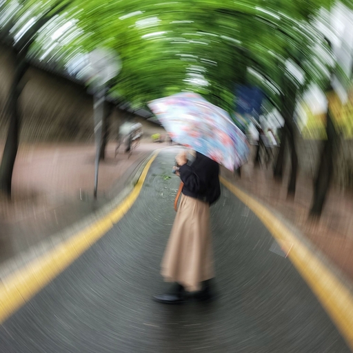 피드 이미지