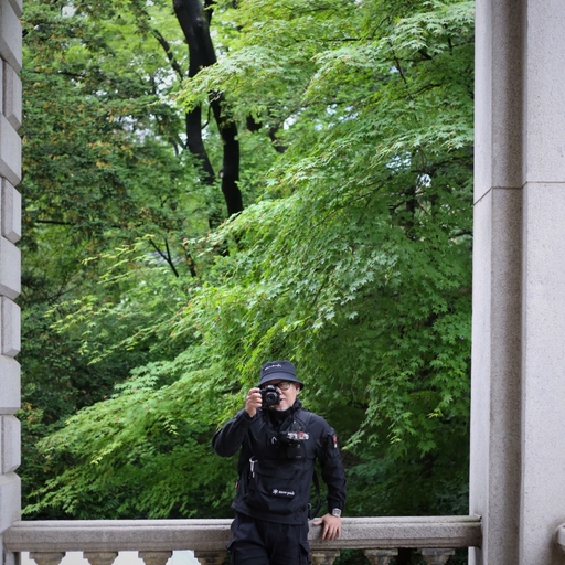 피드 이미지
