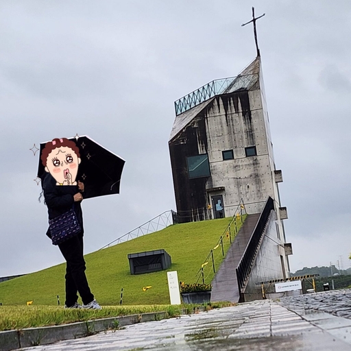 피드 이미지