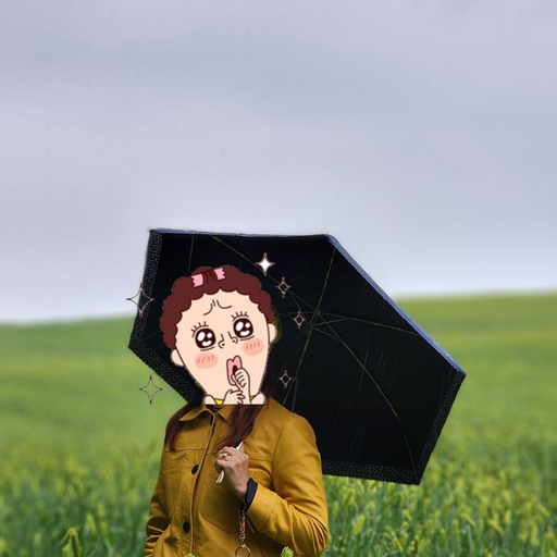 피드 이미지