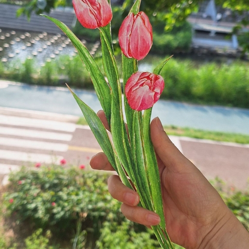 피드 이미지