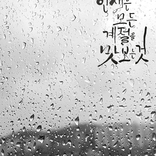 피드 이미지