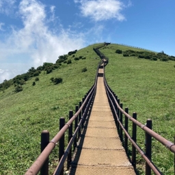모임 이미지