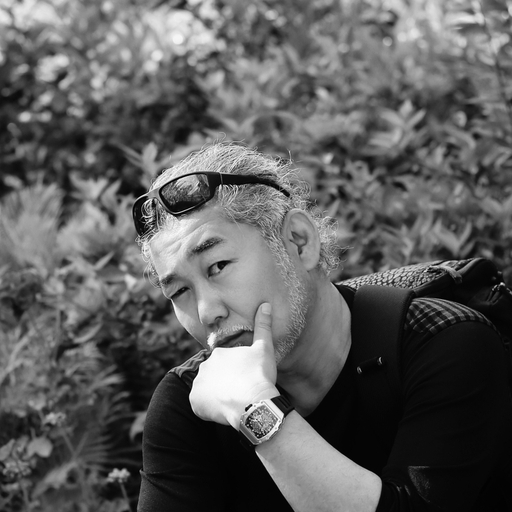 피드 이미지