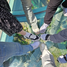 피드에 업로드 된 이미지