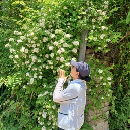 피드에 업로드 된 이미지