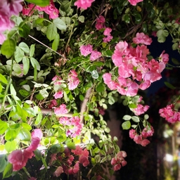 피드에 업로드 된 이미지