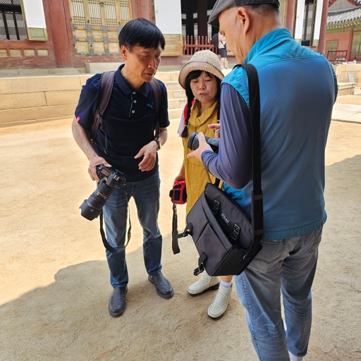 피드 이미지