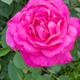 피드에 업로드 된 이미지