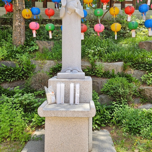 피드 이미지
