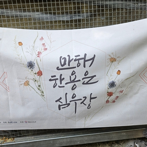 피드 이미지
