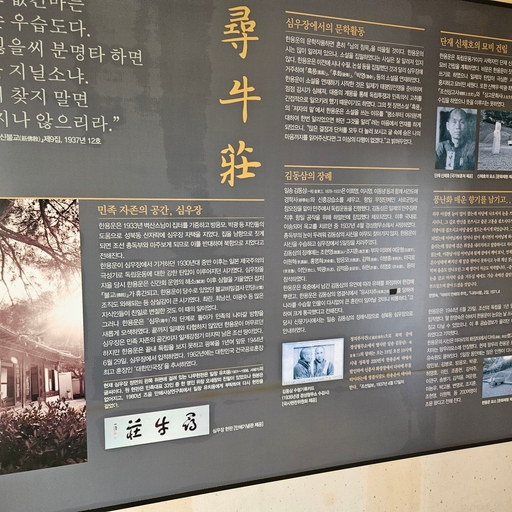 피드 이미지