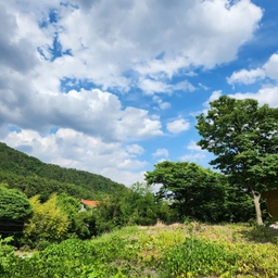 피드에 업로드 된 이미지