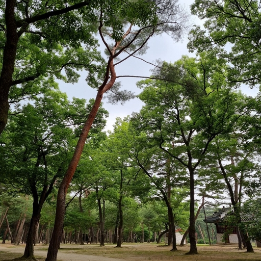 피드 이미지