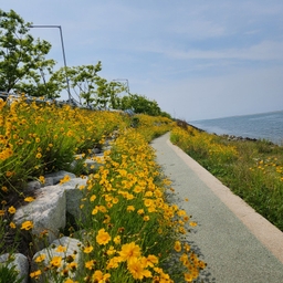 피드에 업로드 된 이미지