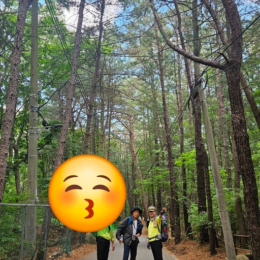 피드 이미지