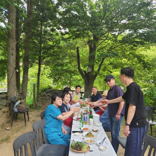 피드 이미지