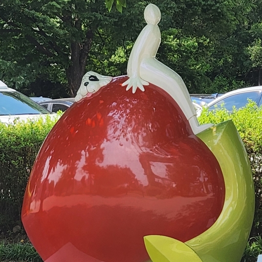피드 이미지