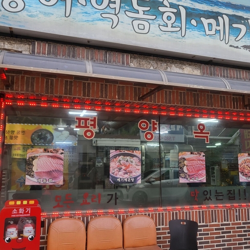 피드 이미지