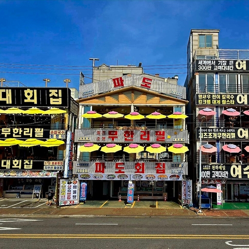 피드 이미지