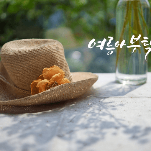 피드 이미지
