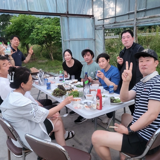 피드 이미지