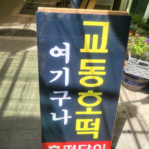 피드 이미지