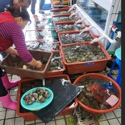 ํผ๋์ ์
๋ก๋ ๋ ์ด๋ฏธ์ง