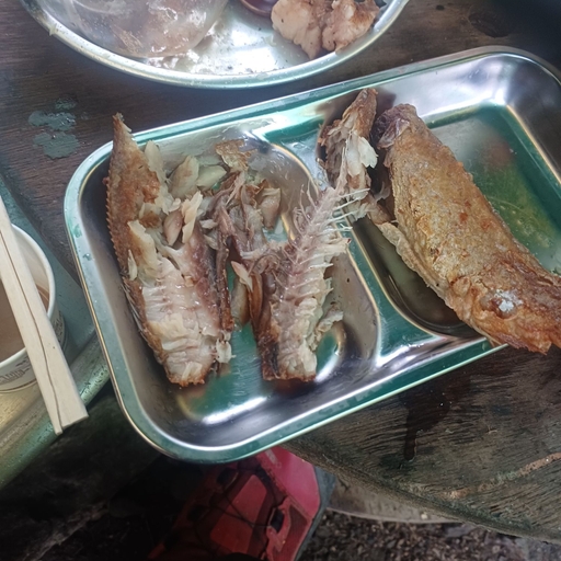피드 이미지