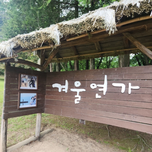 피드 이미지