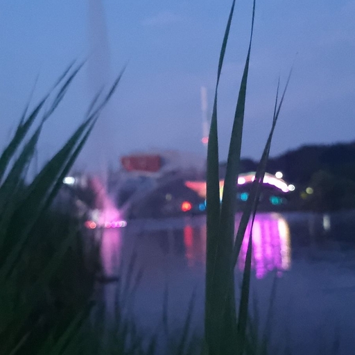피드 이미지