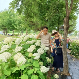 피드에 업로드 된 이미지