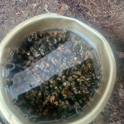 피드에 업로드 된 이미지