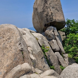 피드에 업로드 된 이미지