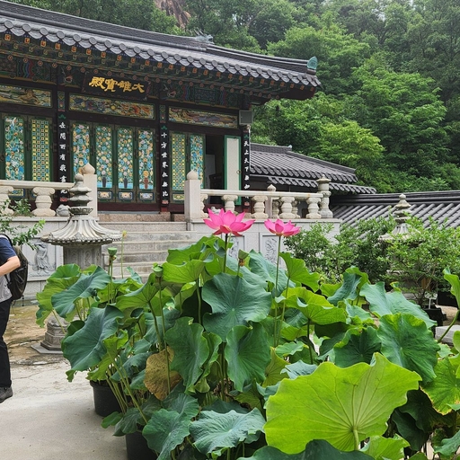 피드 이미지
