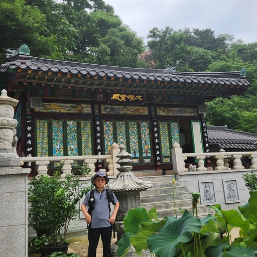 피드 이미지