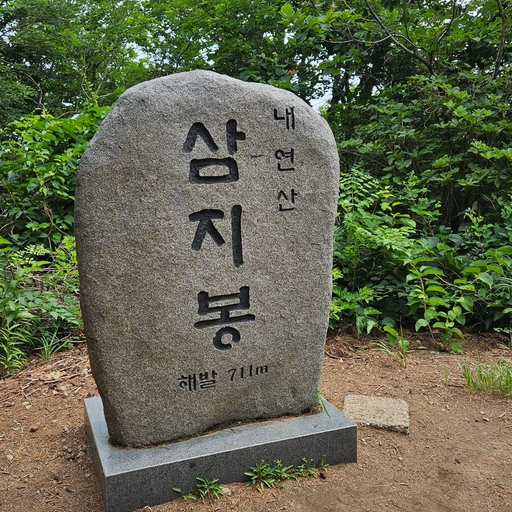 피드 이미지