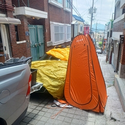 피드에 업로드 된 이미지