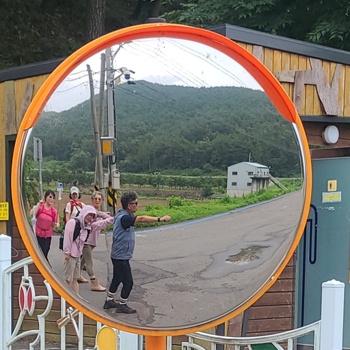 피드 이미지