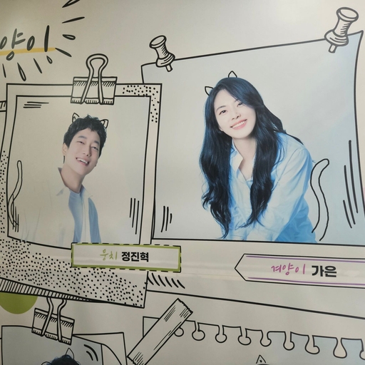 피드 이미지