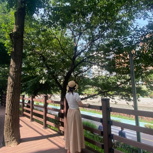 피드 이미지