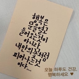 피드에 업로드 된 이미지